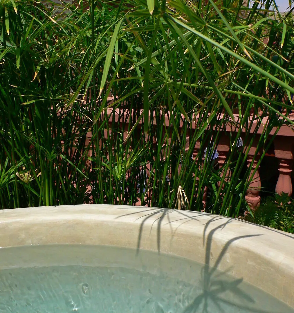 Maipa Boutique Riad Marrakesh